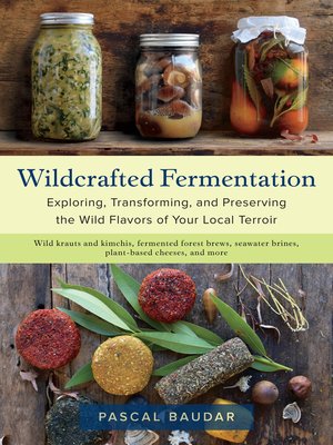 cover image of Wildcrafted Fermentation